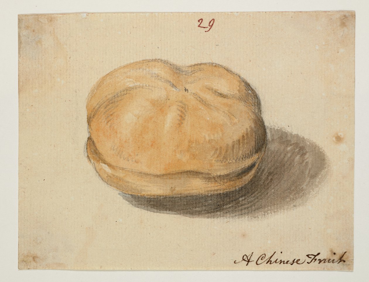 WD 961 f.29 door William Alexander