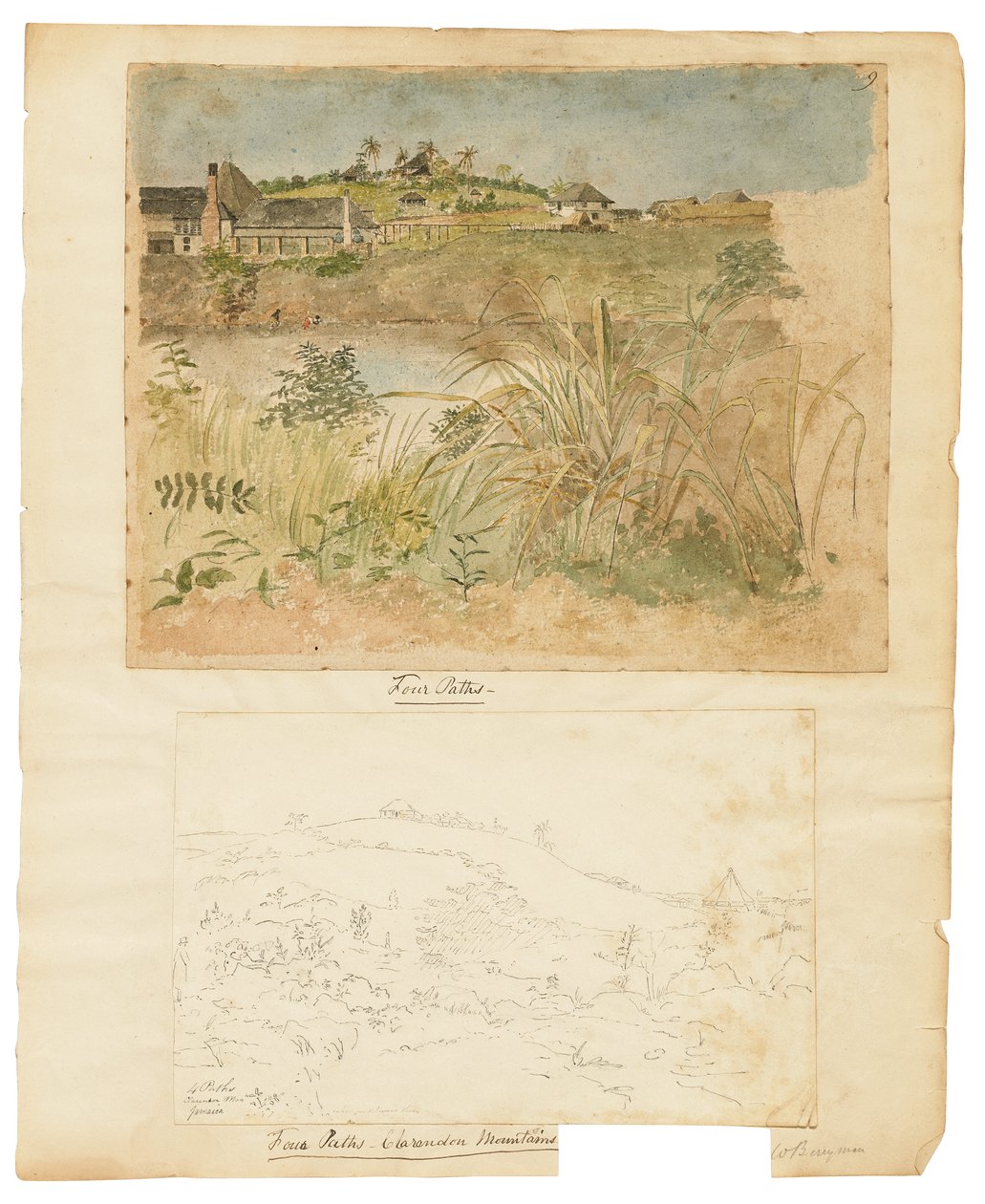 Vier Paden, Clarendon Mountains, Jamaica door William Berryman