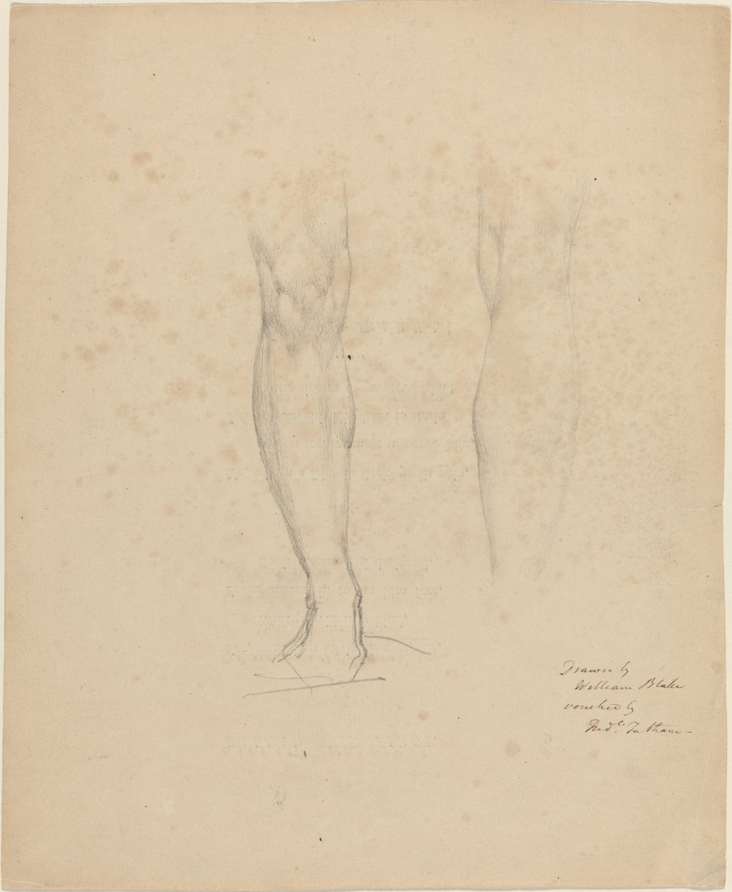 Twee Benen door William Blake