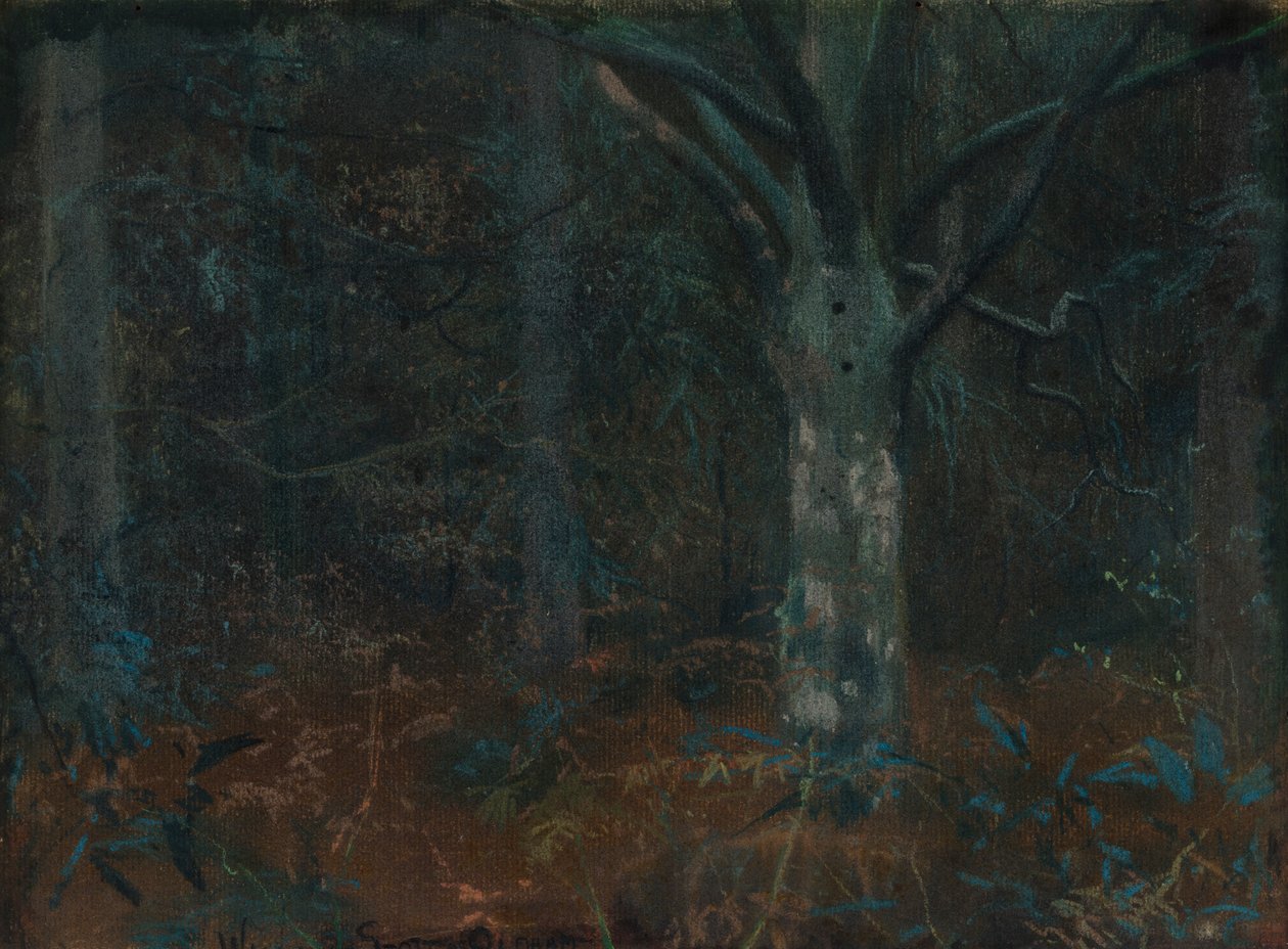 Oude Sycamore door William Edward Stott