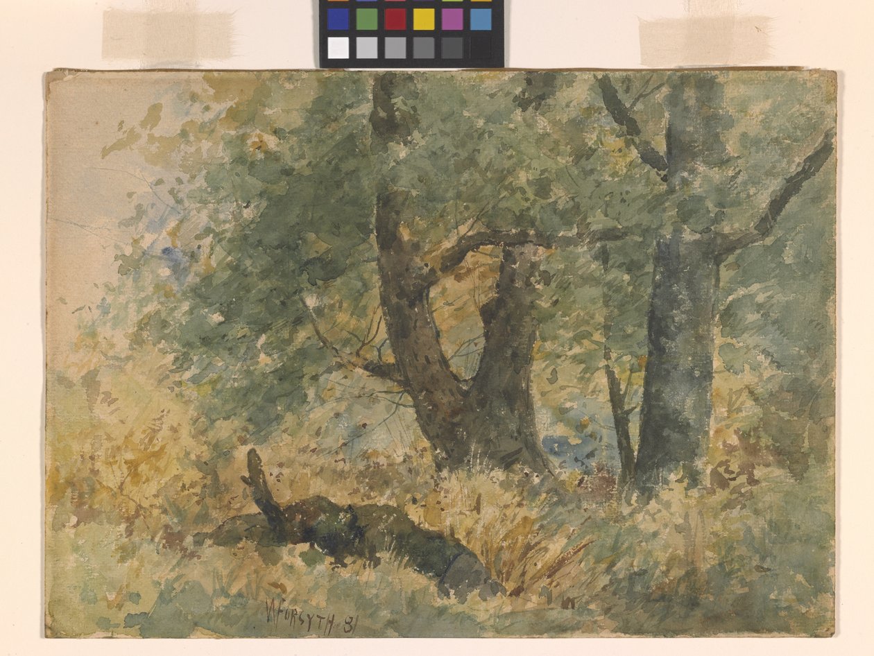 Boslandschap door William Forsyth