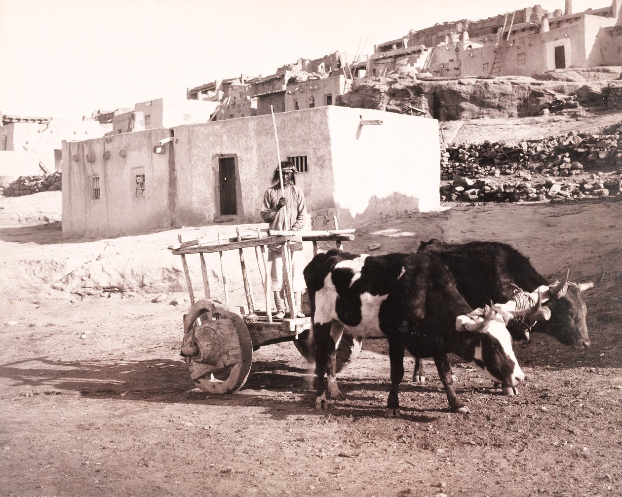 De oude Carreta, Laguna, New Mexico door William H. Jackson