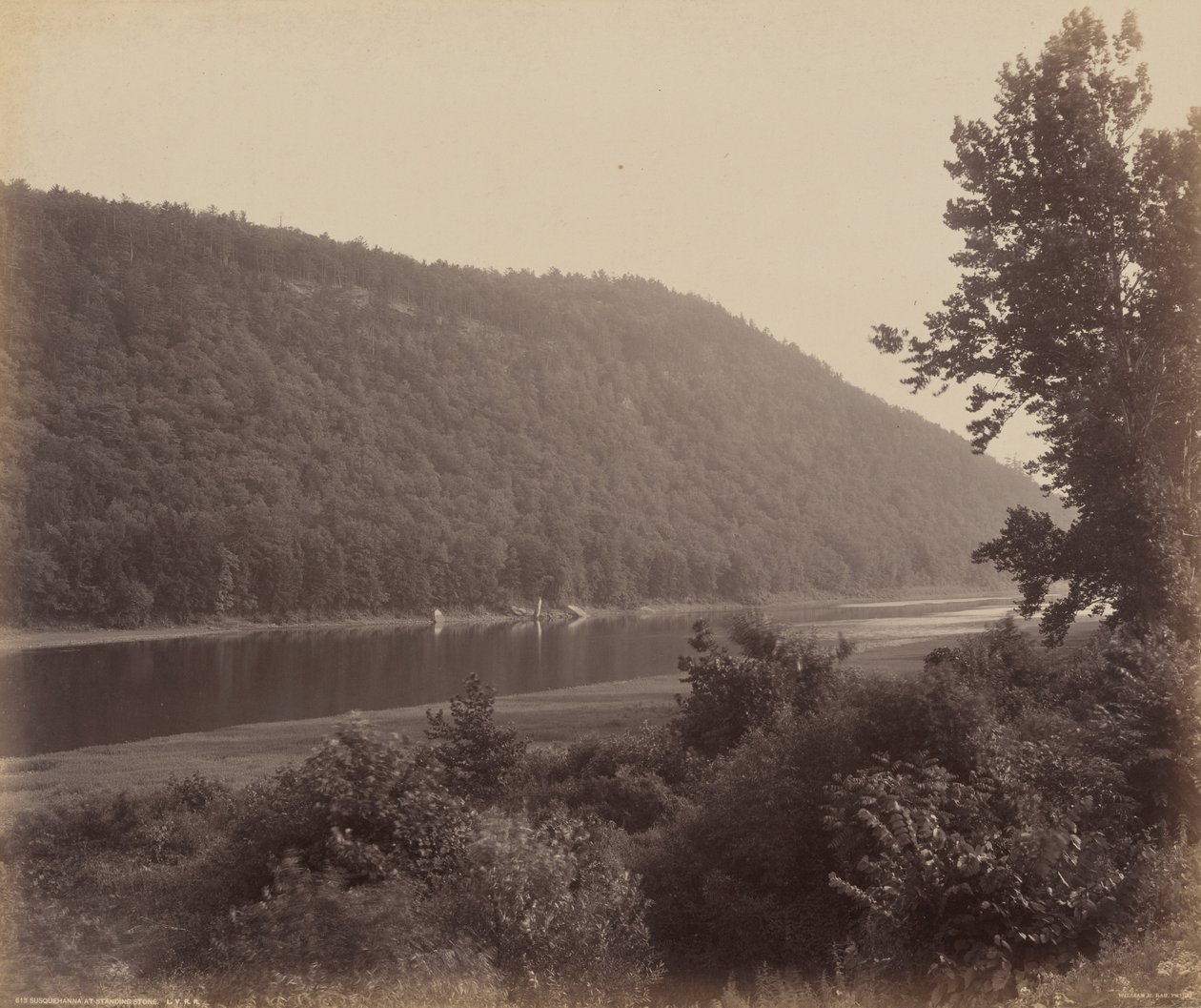 Susquehanna bij Standing Stone door William H. Rau