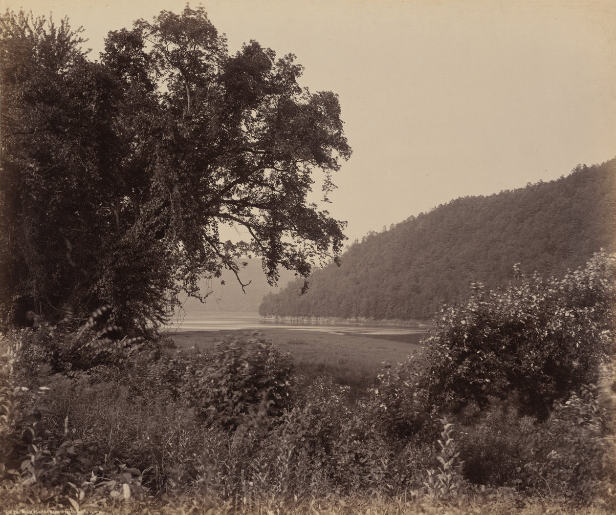 De Susquehanna bij Wyalusing door William H. Rau
