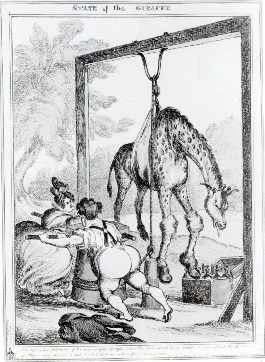 Staat van de giraffe, 1829 door William Heath