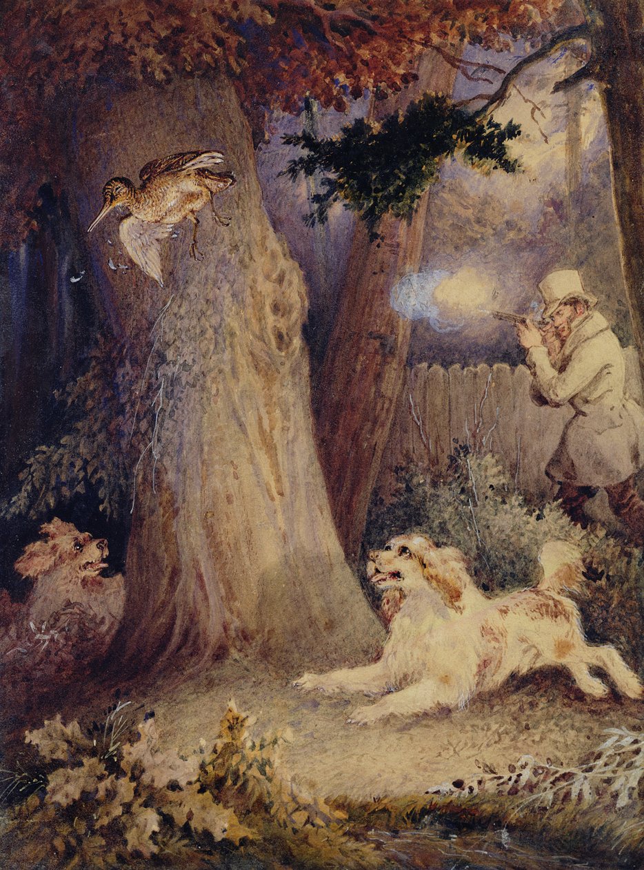 Houtsnip jacht door William Heath