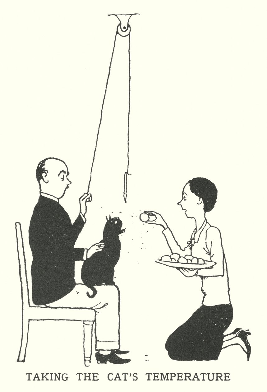 De temperatuur van de kat opnemen door William Heath Robinson