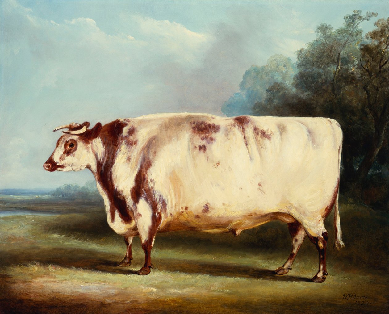 Een Prijsstier, 1839 door William Henry Davis