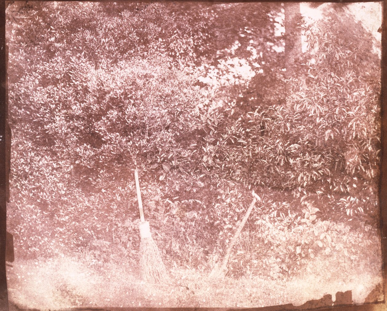 Bezem en spade, 1842 door William Henry Fox Talbot
