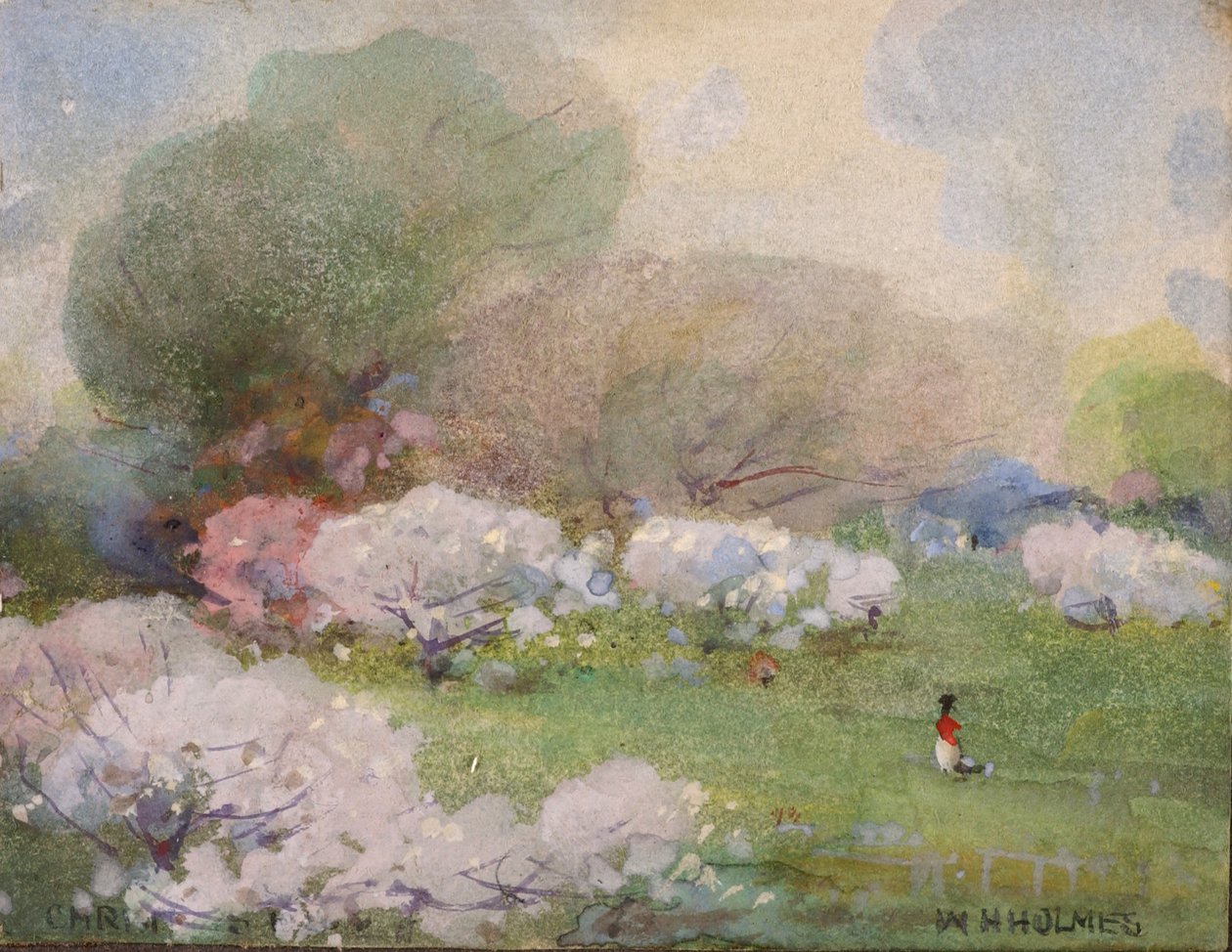 Kersenbloesems, n.d. door William Henry Holmes
