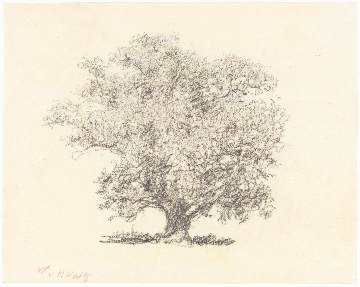 Een Boom in Vol Blad door William Henry Hunt