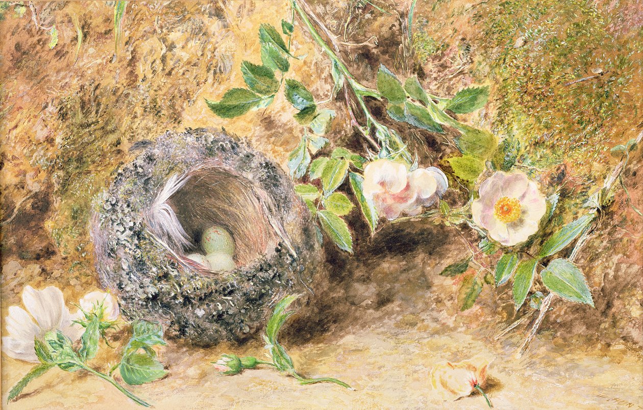 Stilleven met Vinkennest door William Henry Hunt