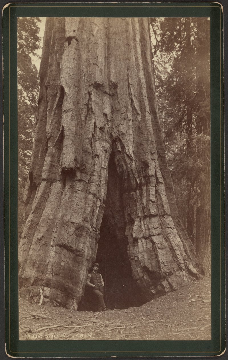 Smiths hut door William Henry Jackson