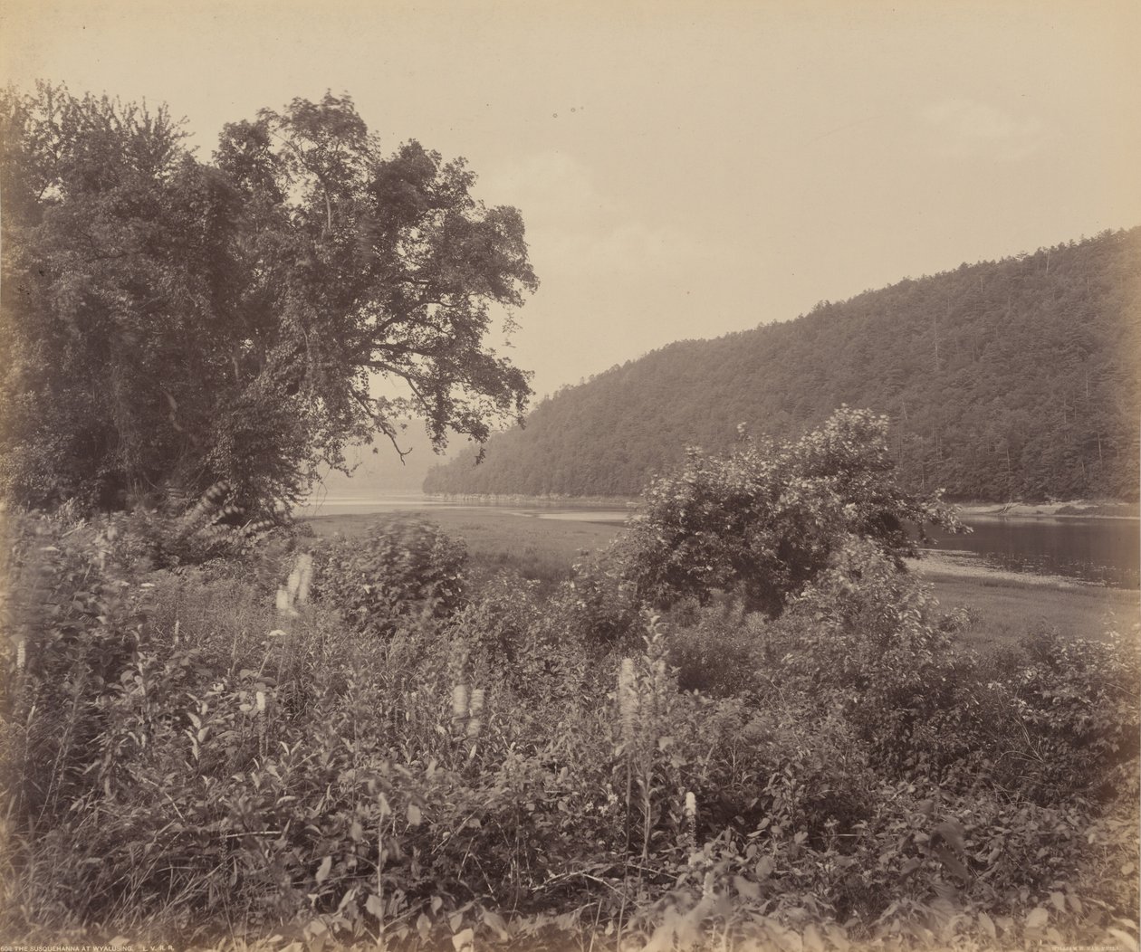 De Susquehanna bij Wyalusing, ca. 1895 (foto) door William Herman Rau