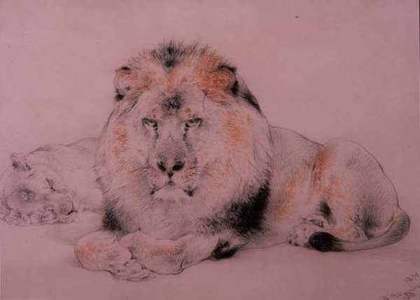 Leeuw en Leeuwin door William Huggins