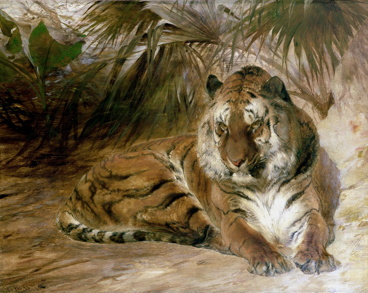 Tijger door William Huggins