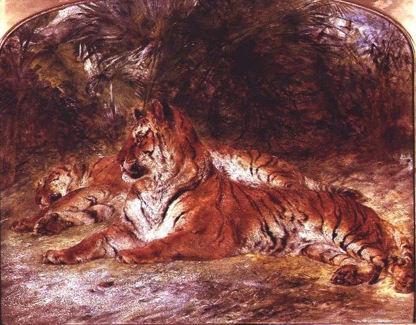 Tijgers door William Huggins