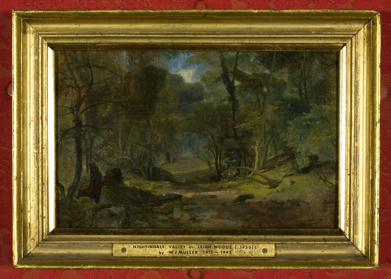 Nightingale Valley, ca.1831 door William James Muller