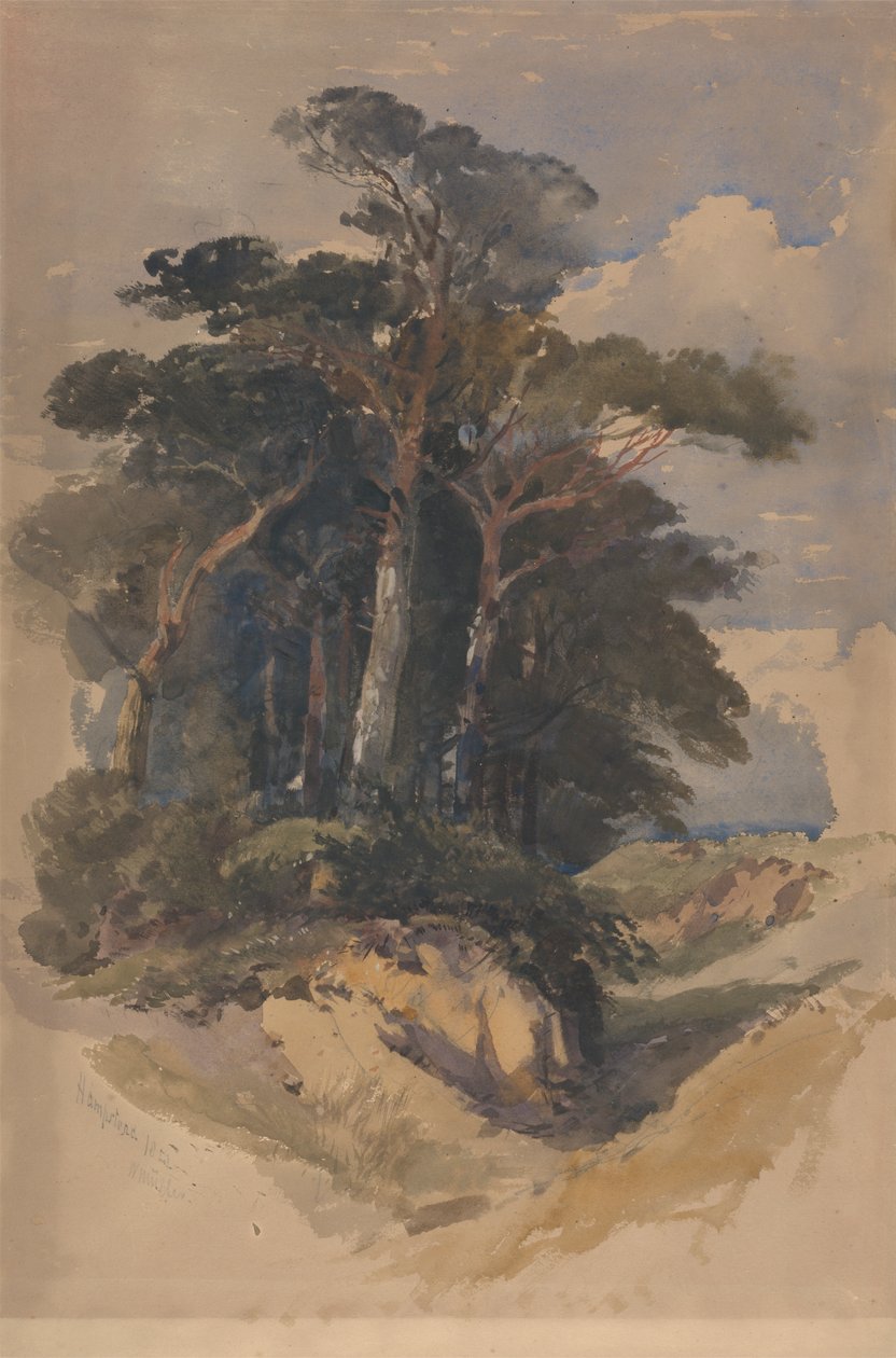 Pijnbomen op Hampstead Heath door William James Muller
