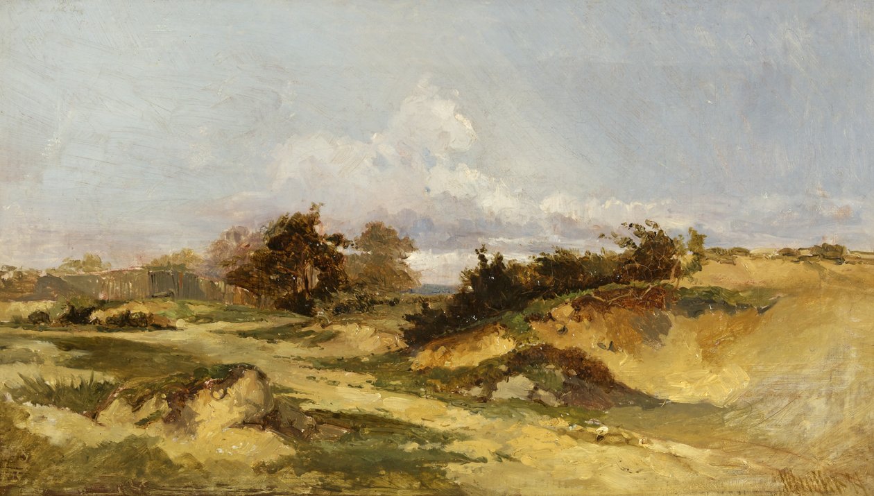 Zandgroeven, Hampstead Heath door William James Muller