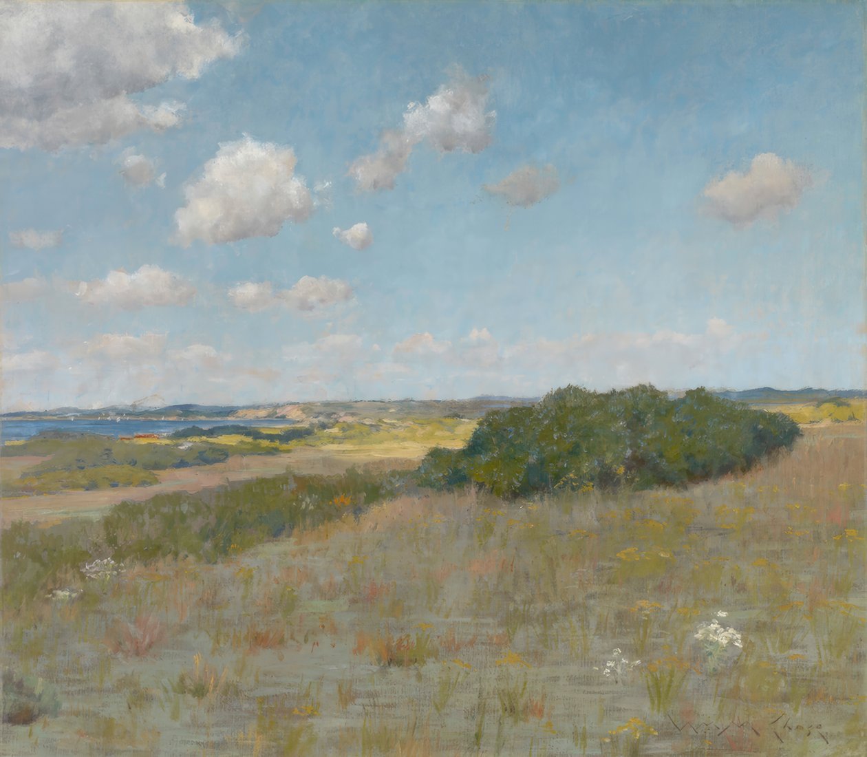 Zonlicht en schaduw, Shinnecock Hills door William Merritt Chase