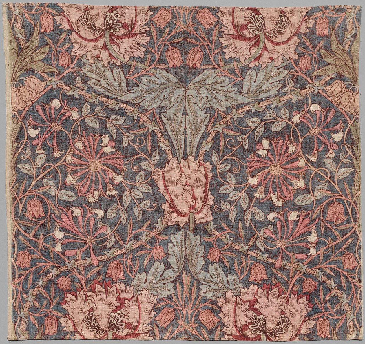 Kamperfoelie, Begin 20e eeuw door William Morris