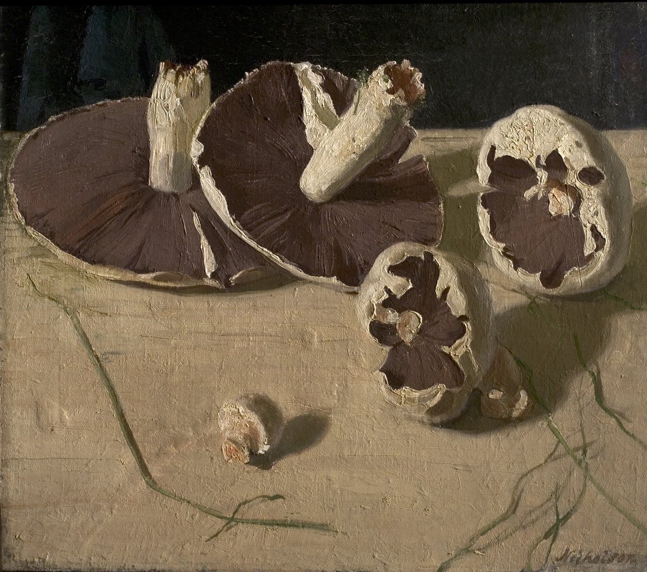 Paddenstoelen door William Nicholson