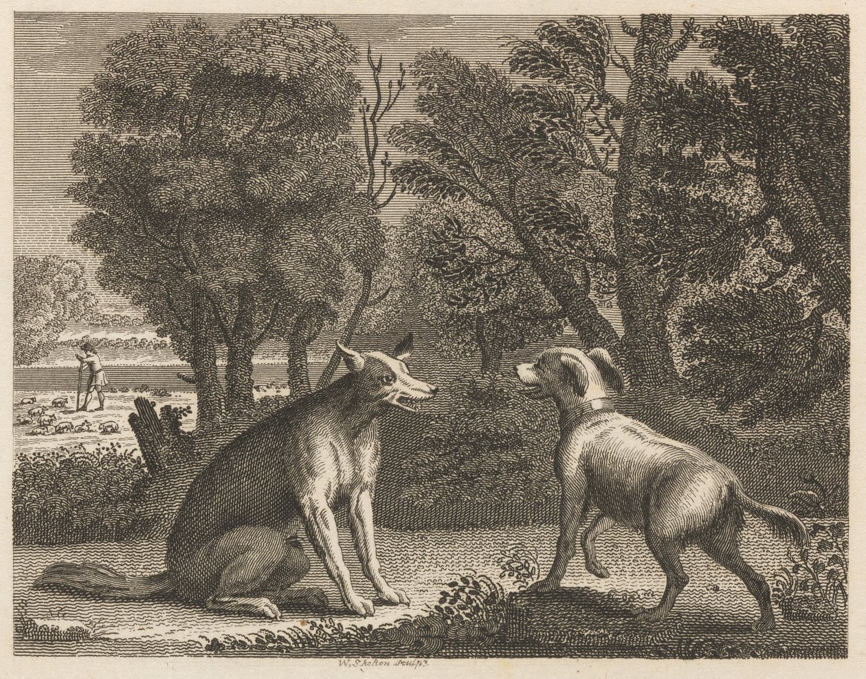 De herdershond en de wolf door William Skelton