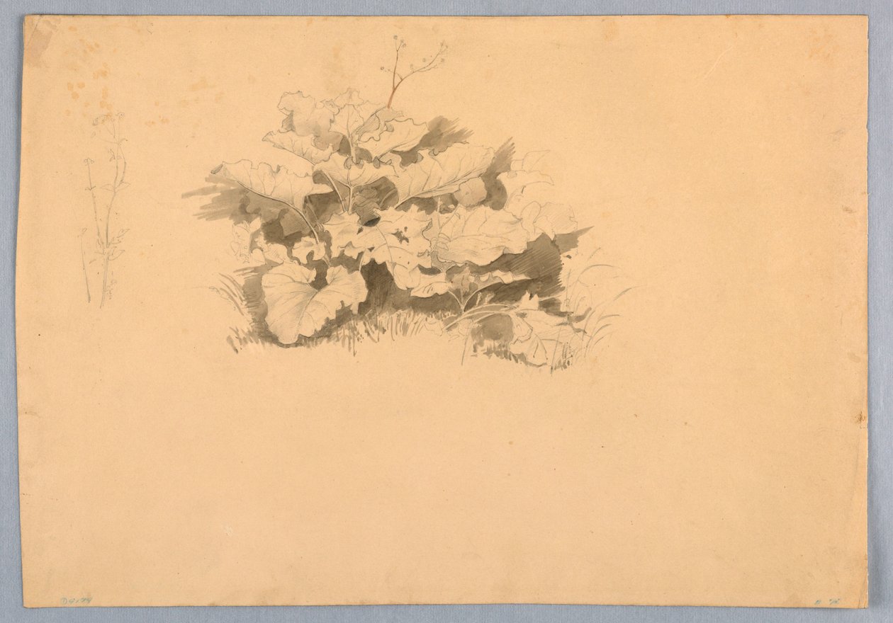 Studie van gebladerte door William Stanley Haseltine