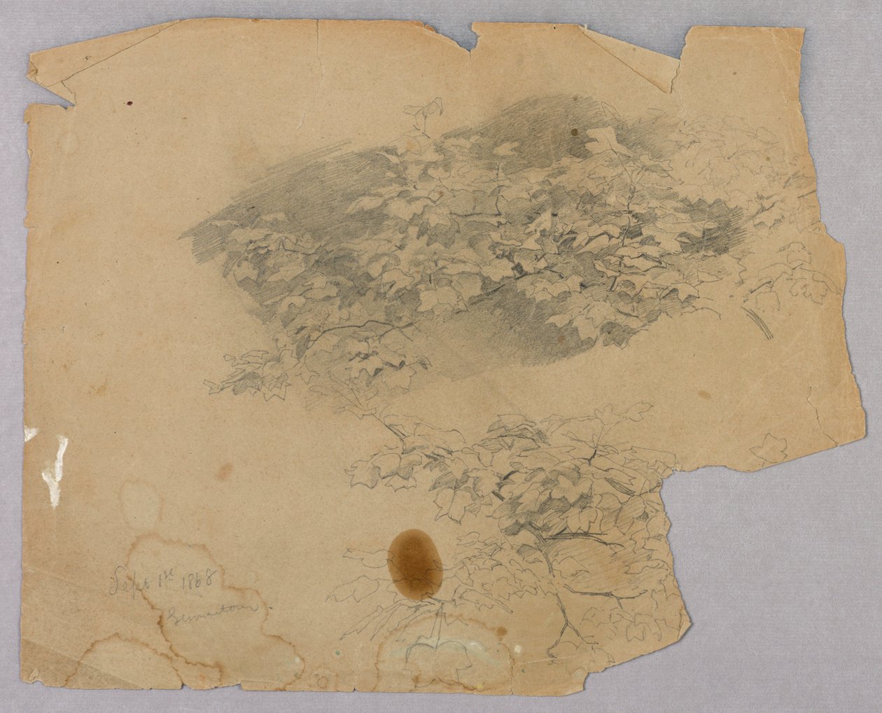Studie van gebladerte door William Trost Richards