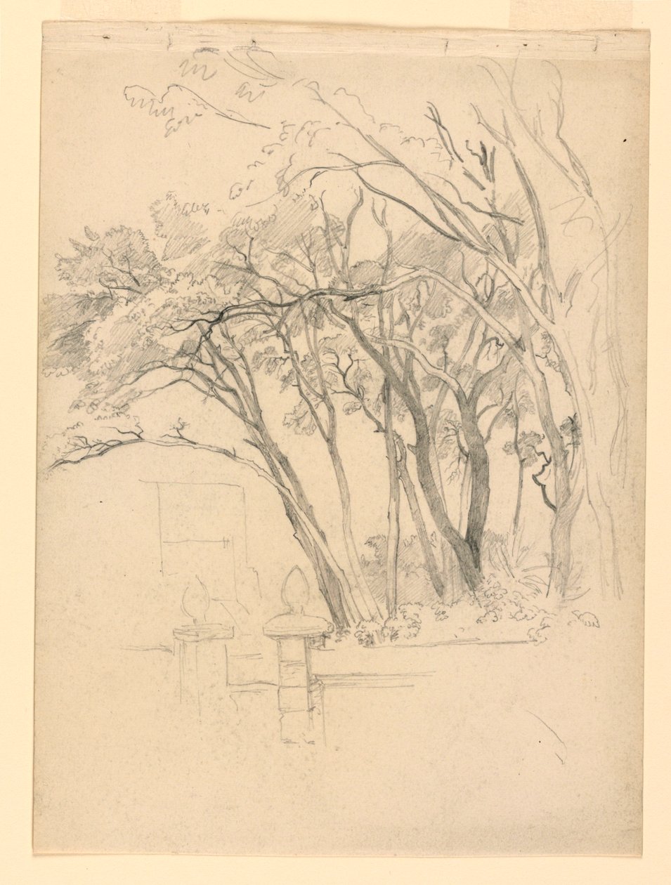 Studie van gebladerte door William Trost Richards