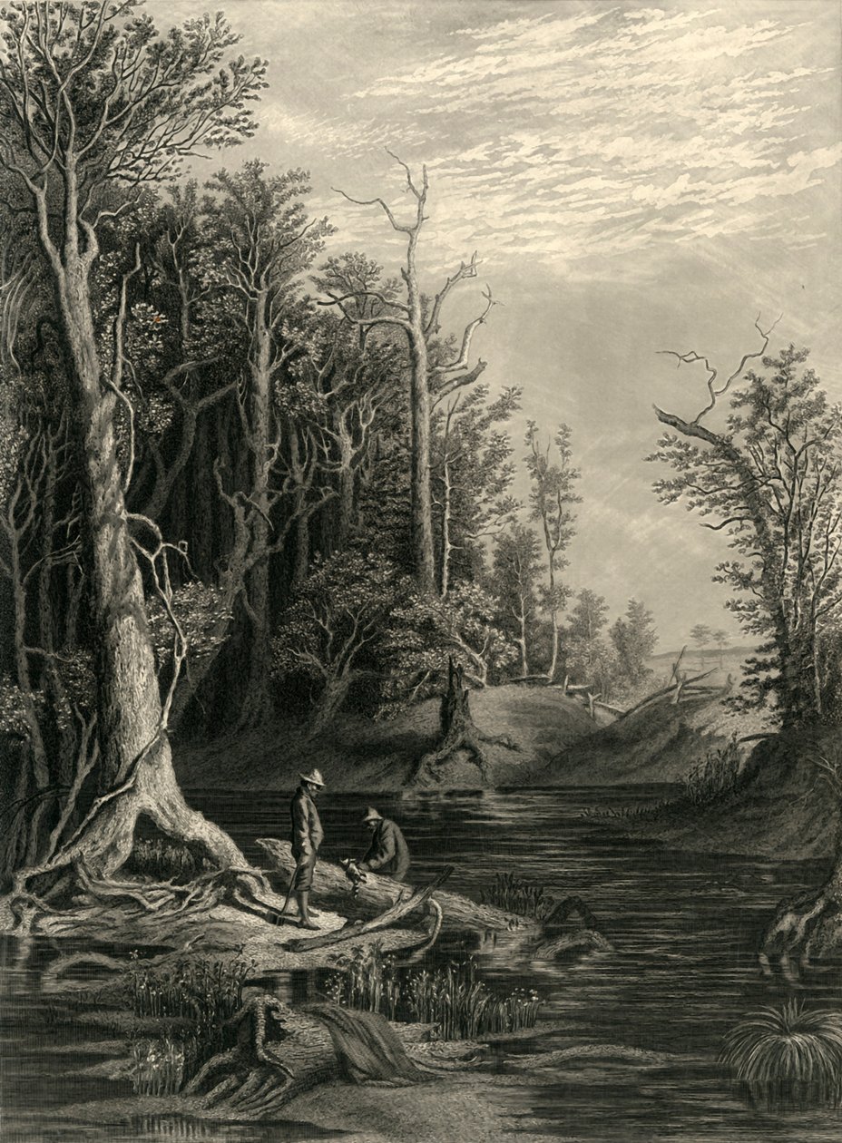 De Chickahominy door William Wellstood