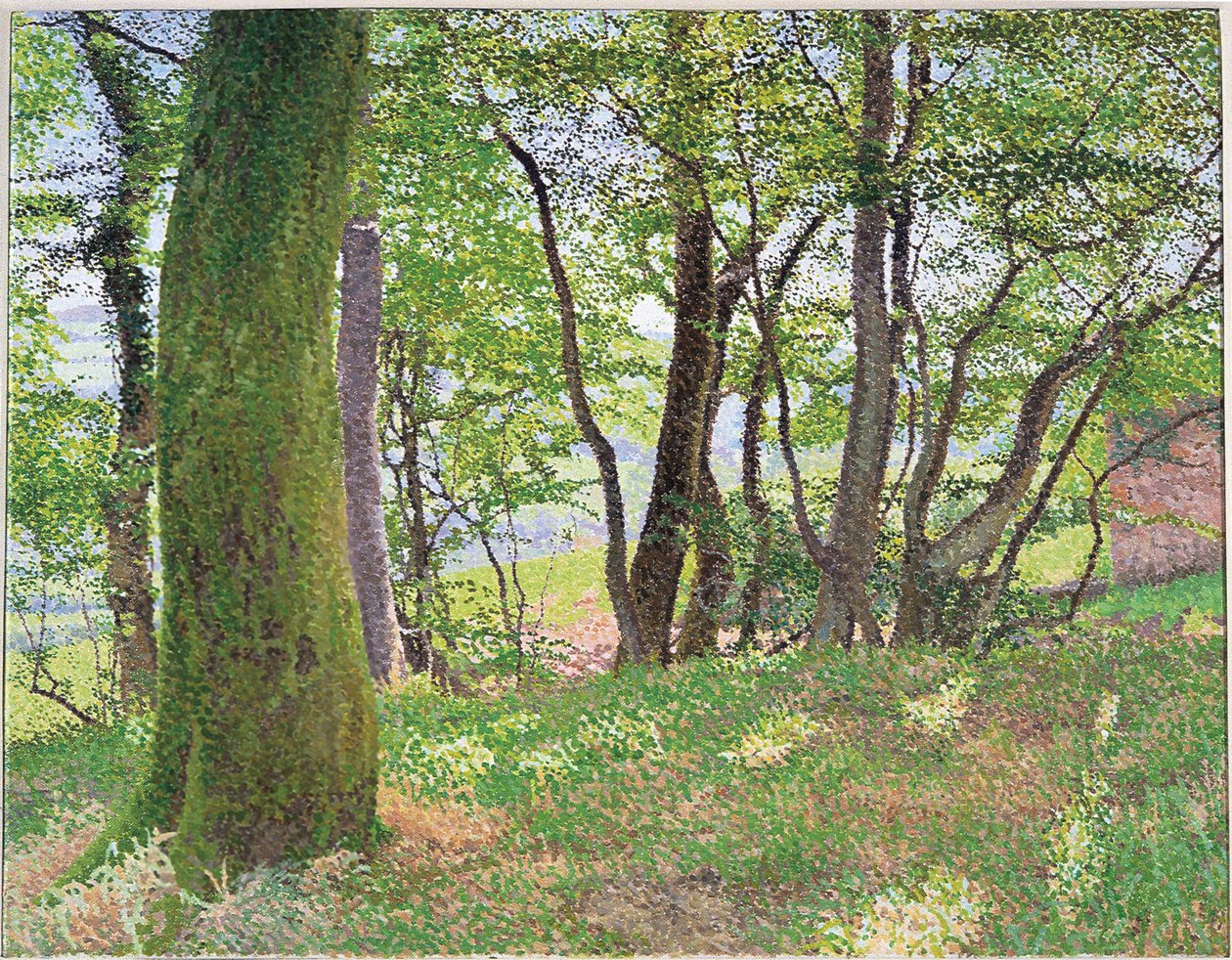 Carmarthenshire Middag door William Wilkins