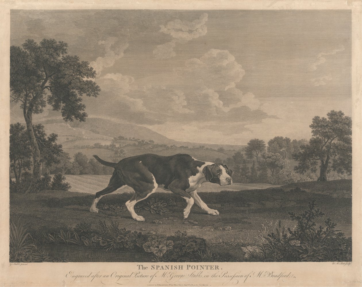 De Spaanse Wijzer door William Woollett