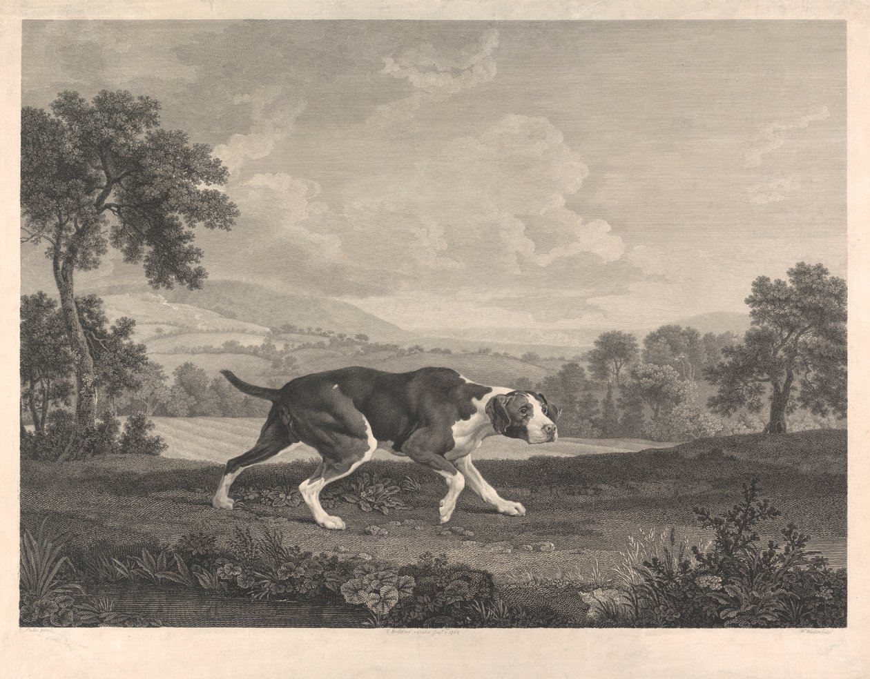 De Spaanse wijzer door William Woollett