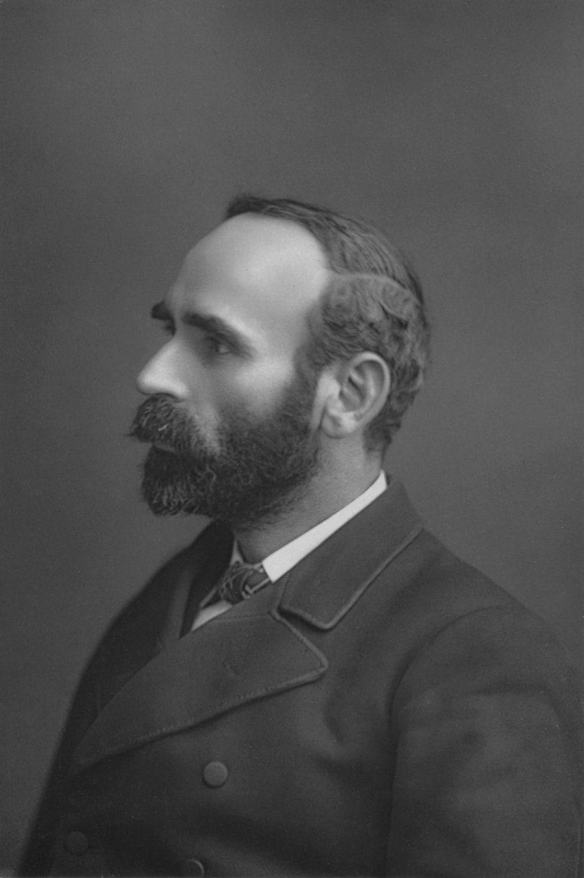 De heer Michael Davitt door William and Daniel Downey