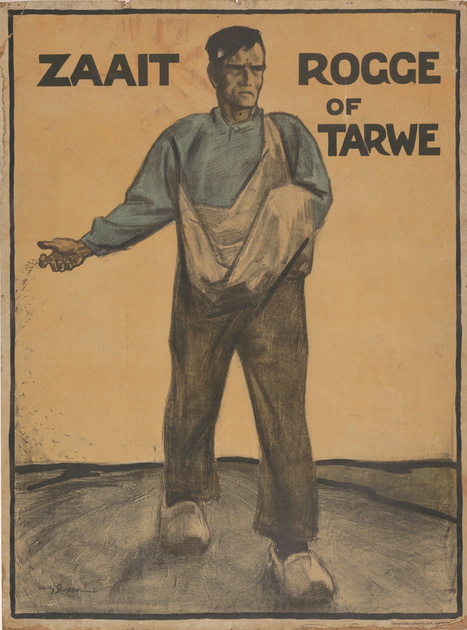 Zaait rogge of tarwe door Willy Sluiter