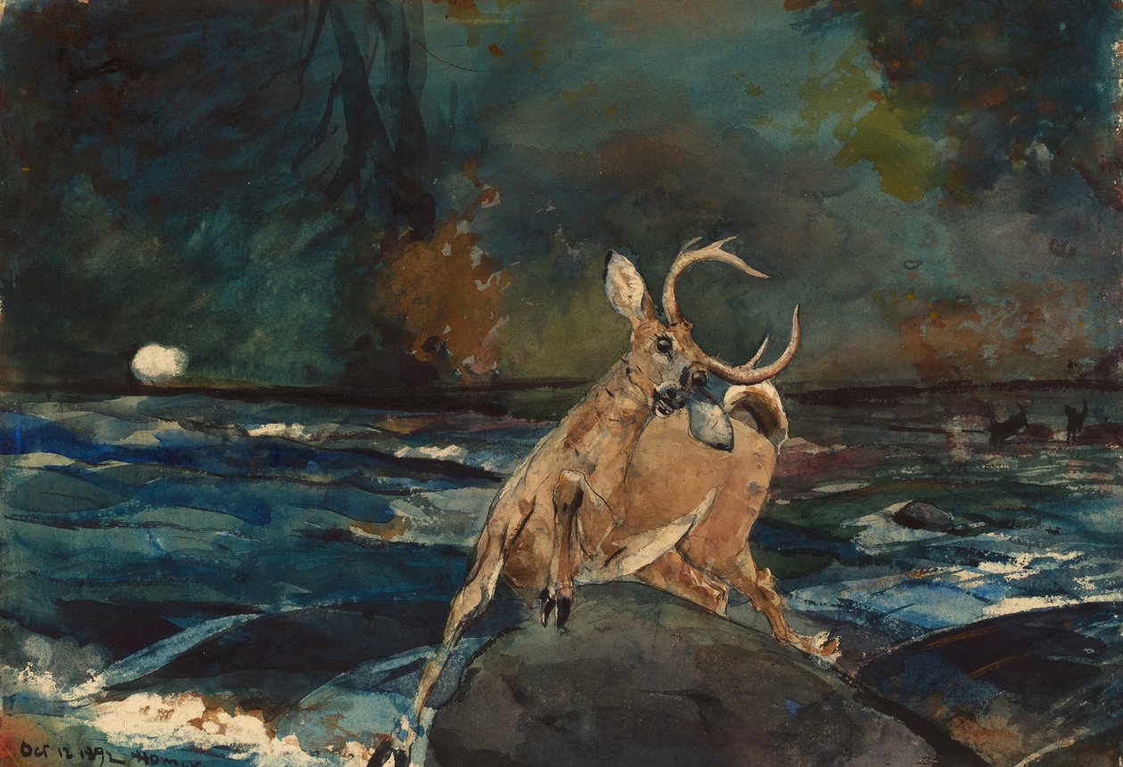 Een goede schot, Adirondacks door Winslow Homer