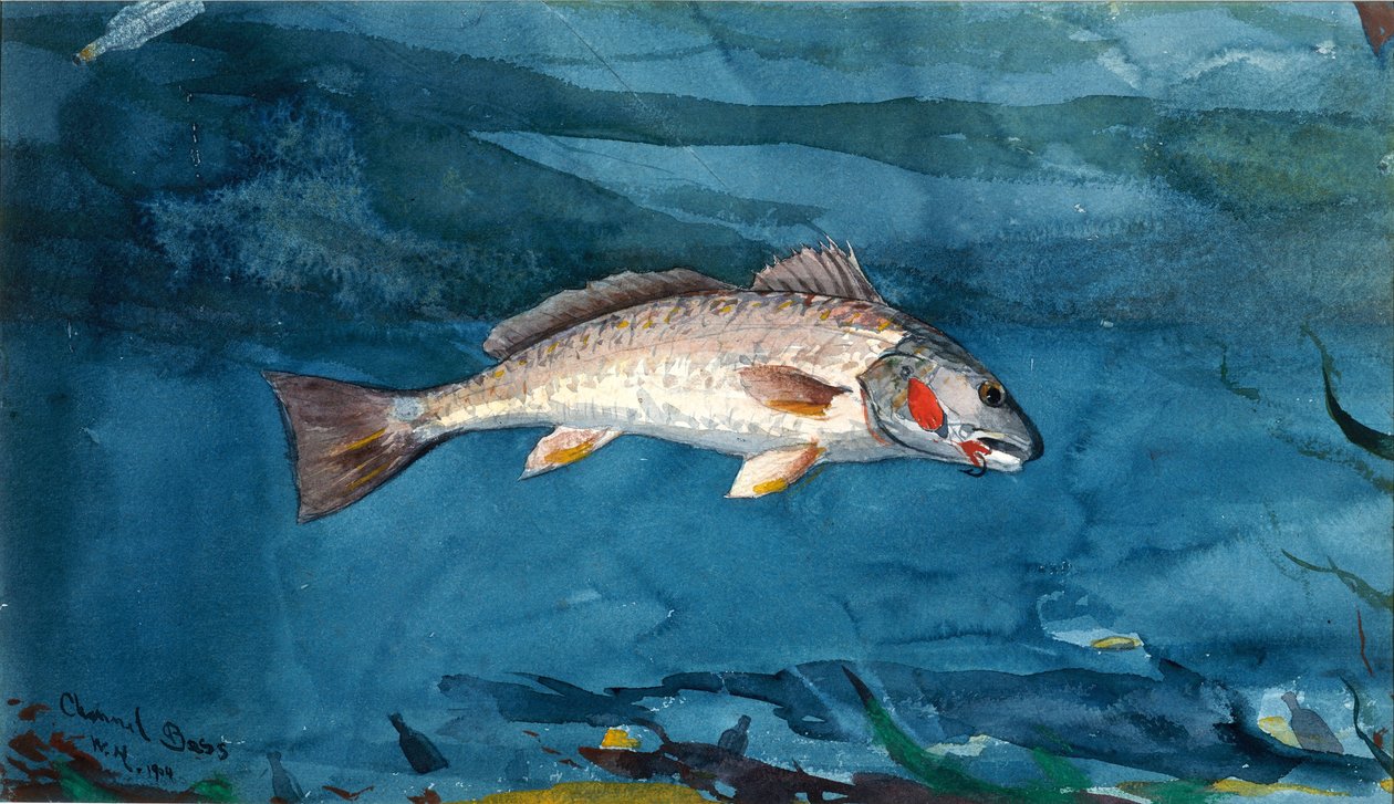 Kanaalbaars door Winslow Homer