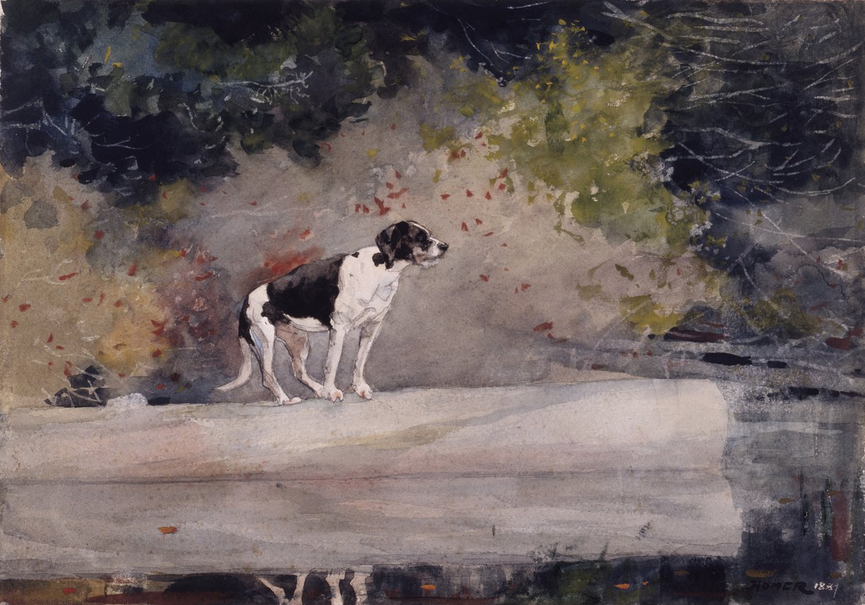Hond op een boomstam door Winslow Homer