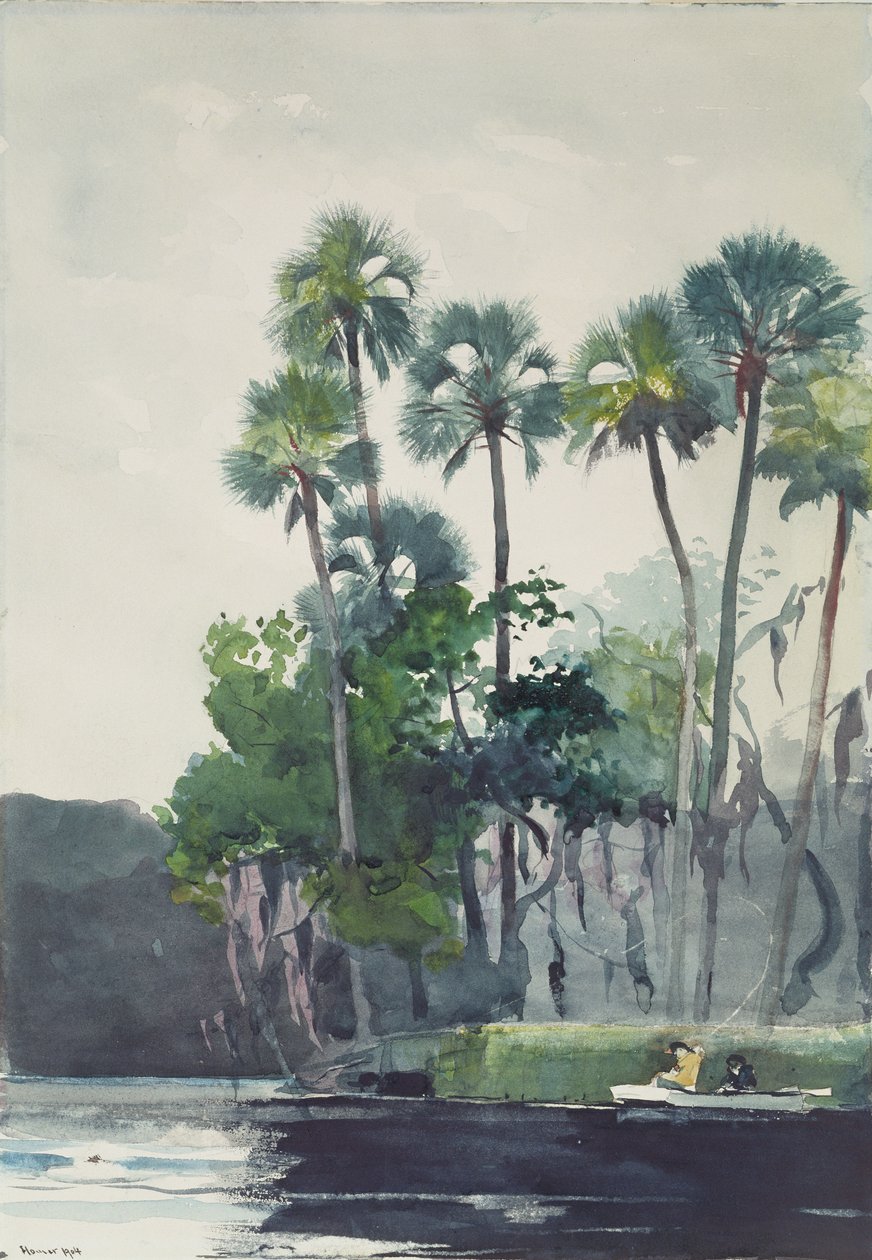 Homosassa River, 1904 door Winslow Homer