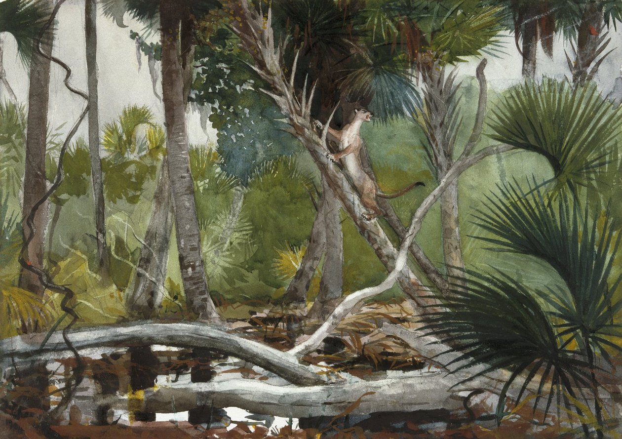 In de jungle, Florida door Winslow Homer
