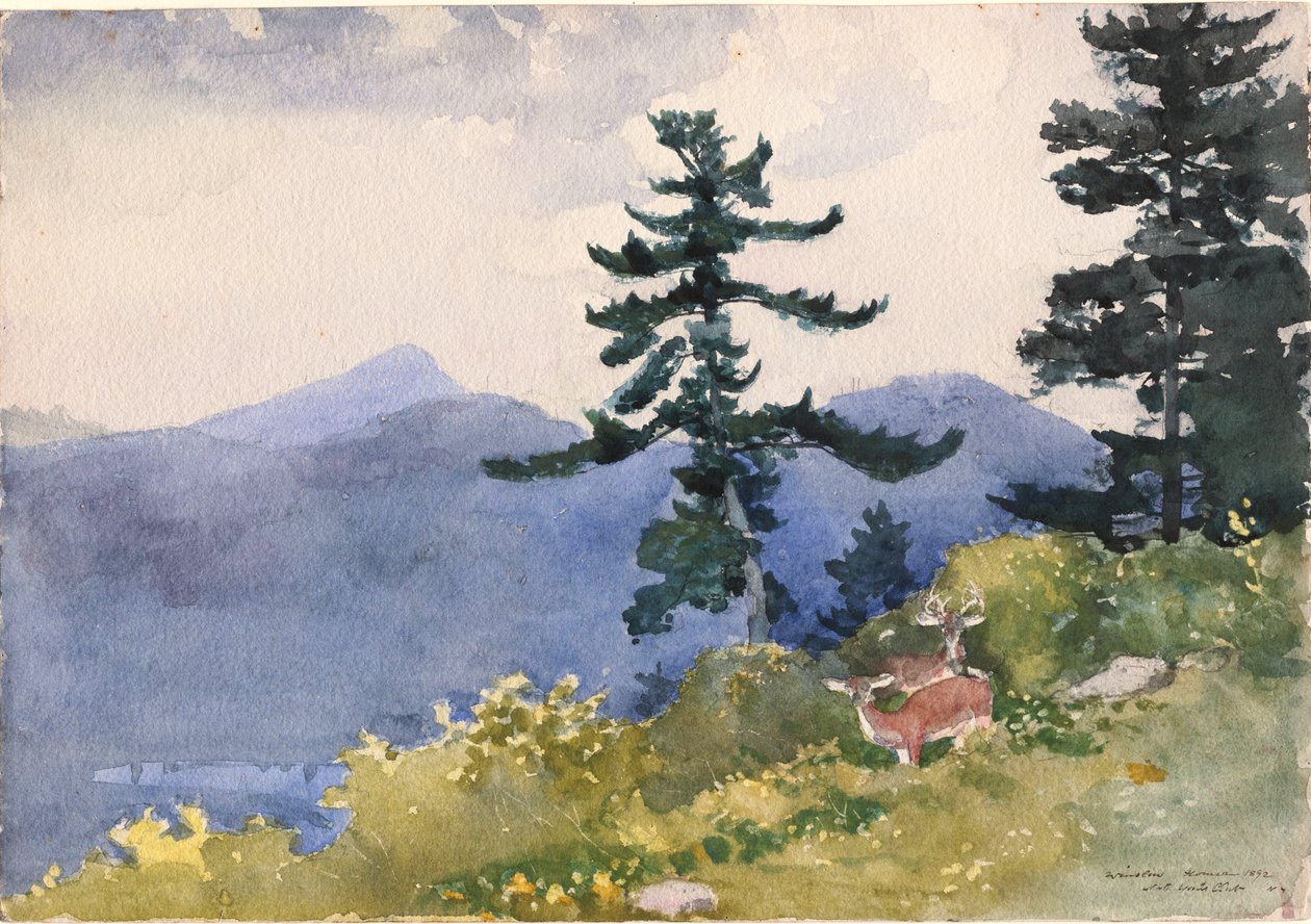North Woods Club, Adirondacks door Winslow Homer