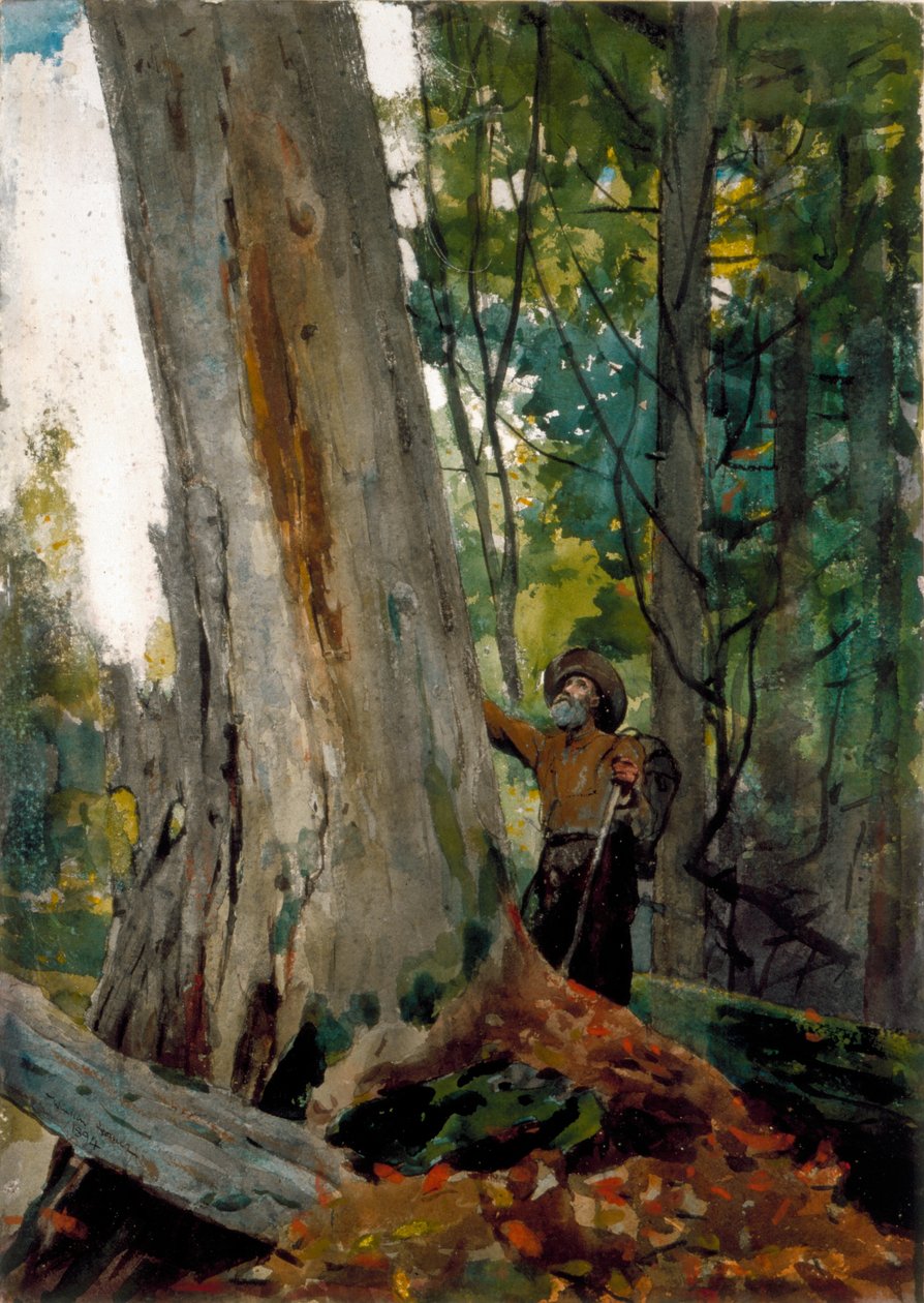 Oude Vrienden, 1894 door Winslow Homer