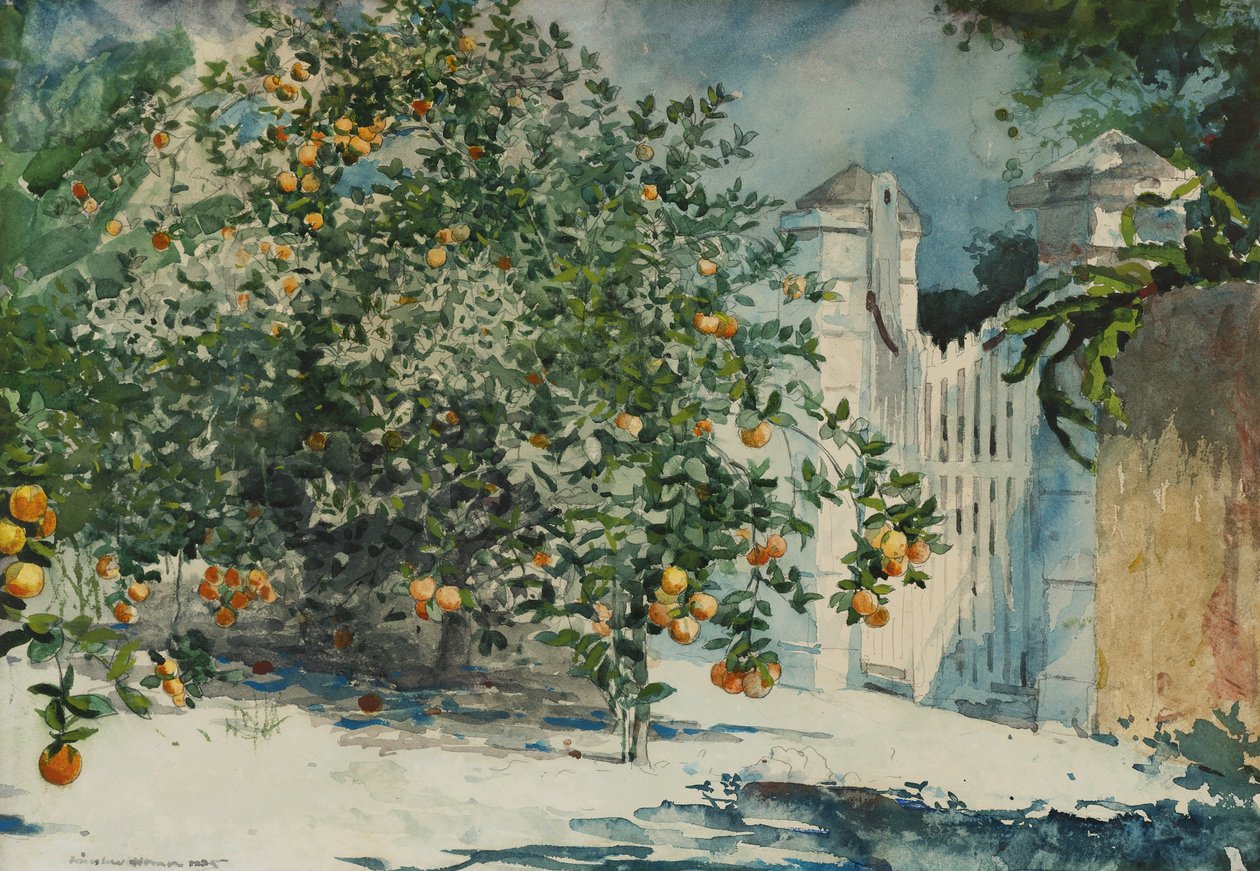 Sinaasappelbomen en Poort door Winslow Homer