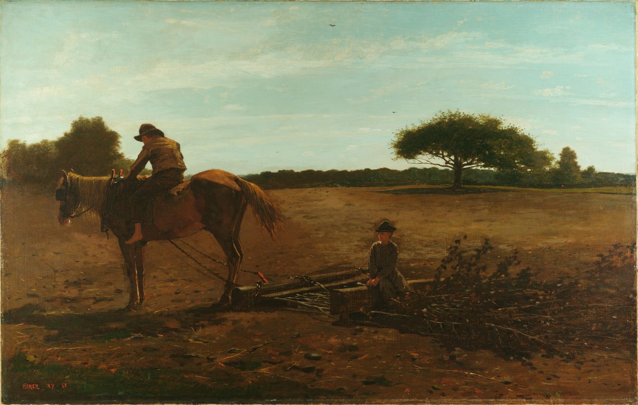 De borstelhark door Winslow Homer