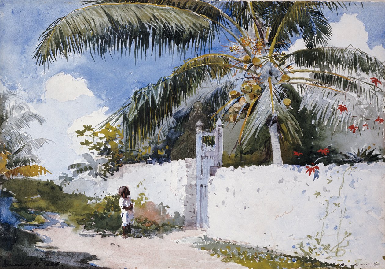 Een Tuin in Nassau, 1885 door Winslow Homer
