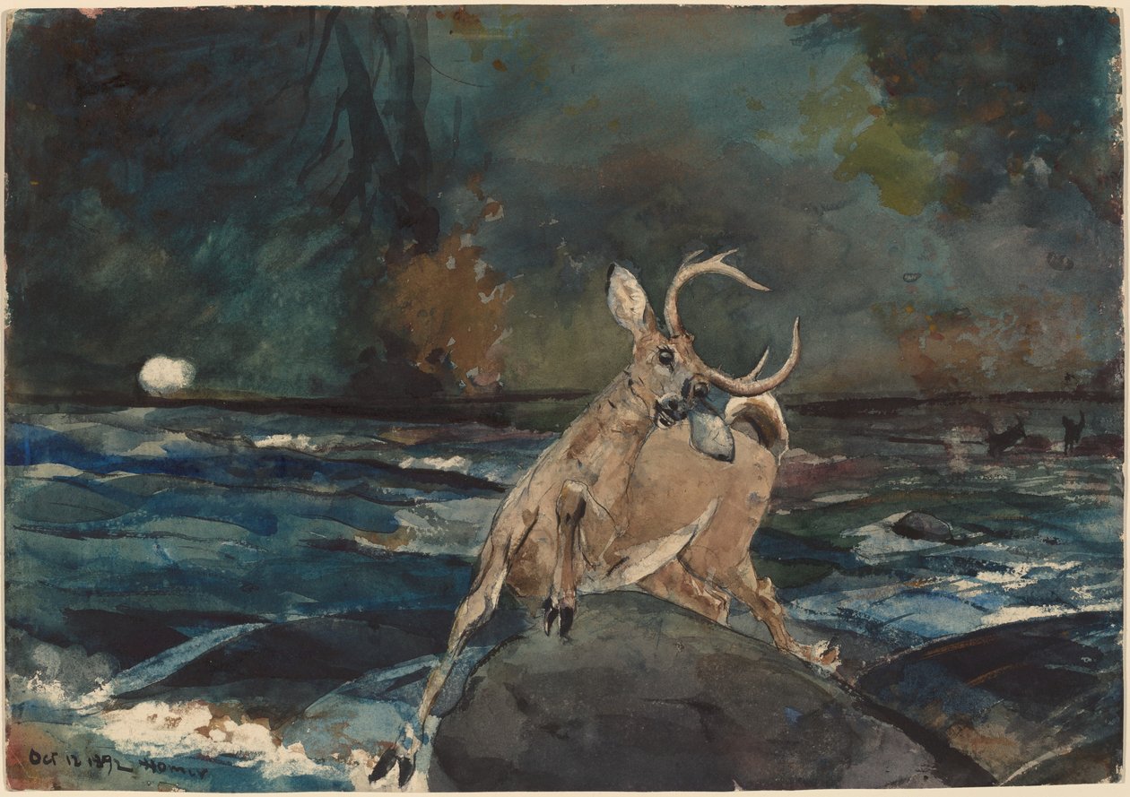 Een goede schot, Adirondacks door Winslow Homer