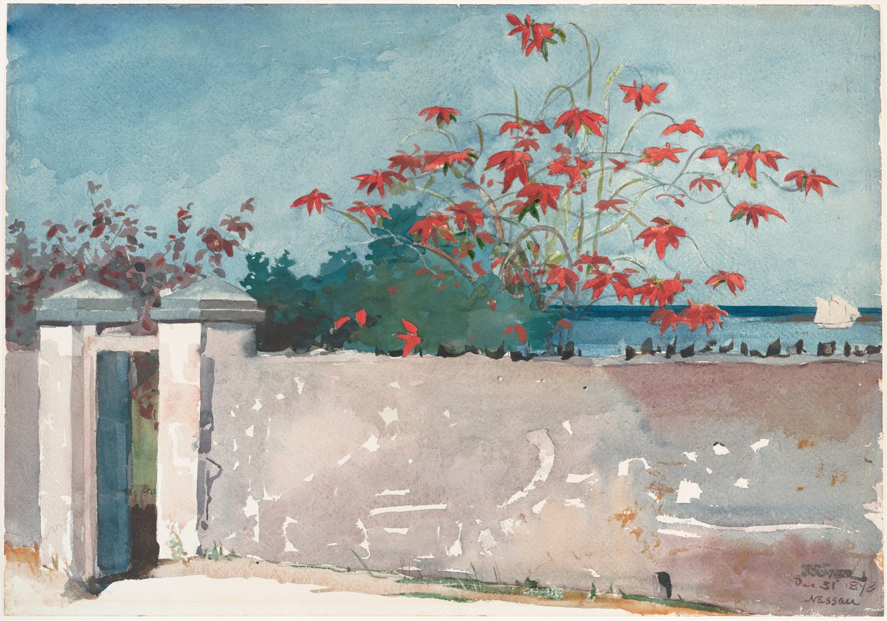 Een muur, Nassau door Winslow Homer