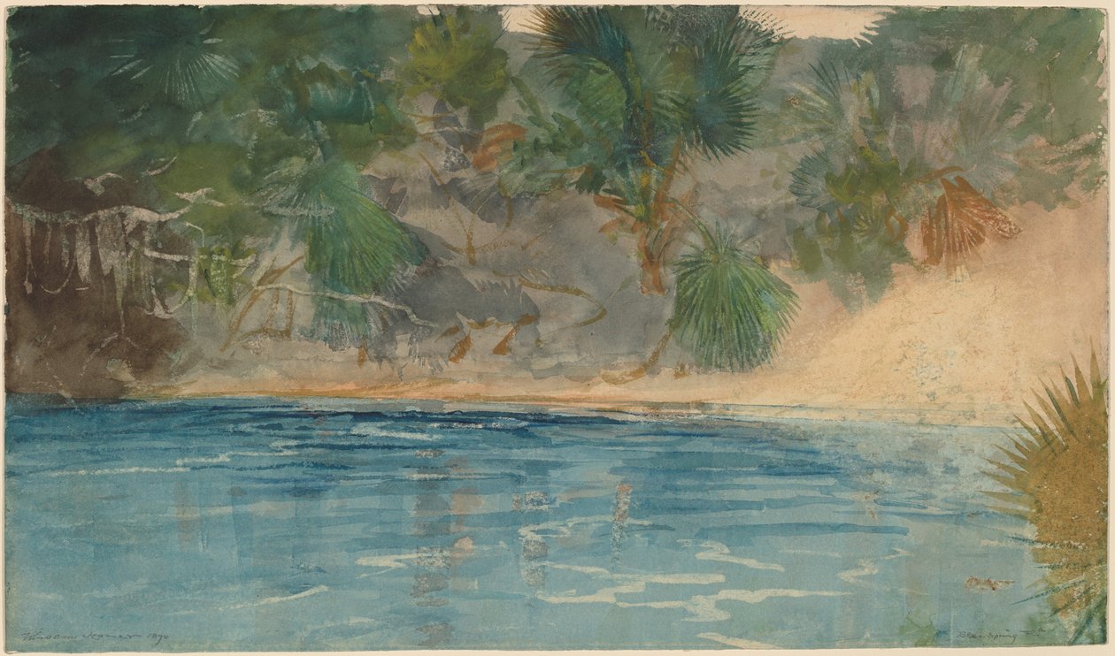Blue Spring, Florida, 1890 door Winslow Homer